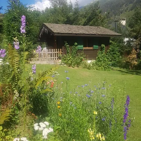 Alpine Rose Alpehytte