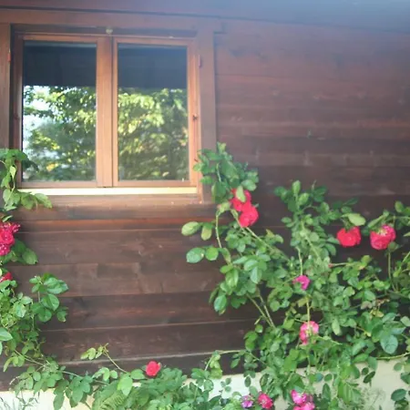 Alpine Rose * Chamonix