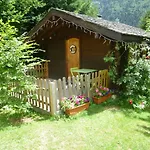 Alpine Rose *