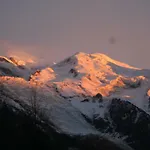 Alpine Rose * Chamonix Mont Blanc